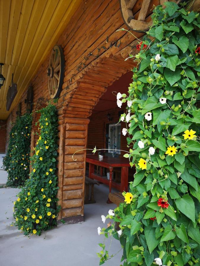 Kryzbarkas Pensionat Deguciai  Exteriör bild