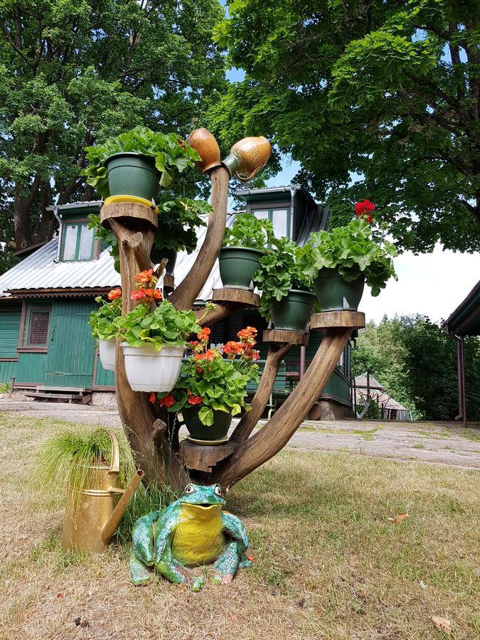 Kryzbarkas Pensionat Deguciai  Exteriör bild